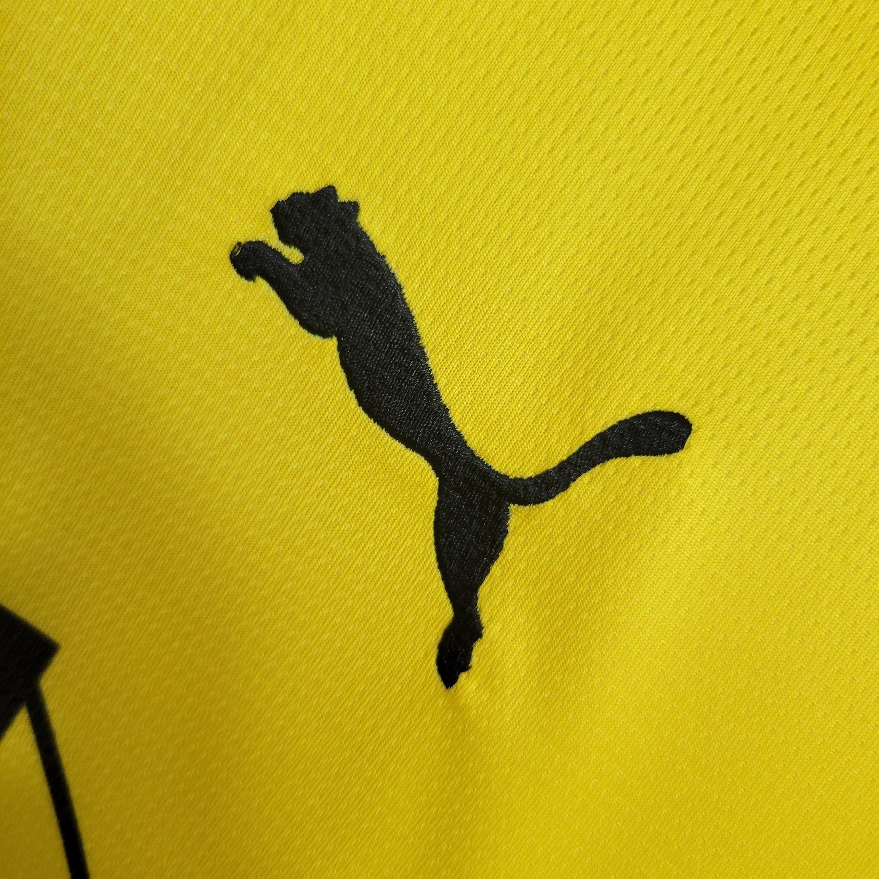 Camisa Borussia Dortmund Home 23/24 - Puma (Torcedor) Masculina