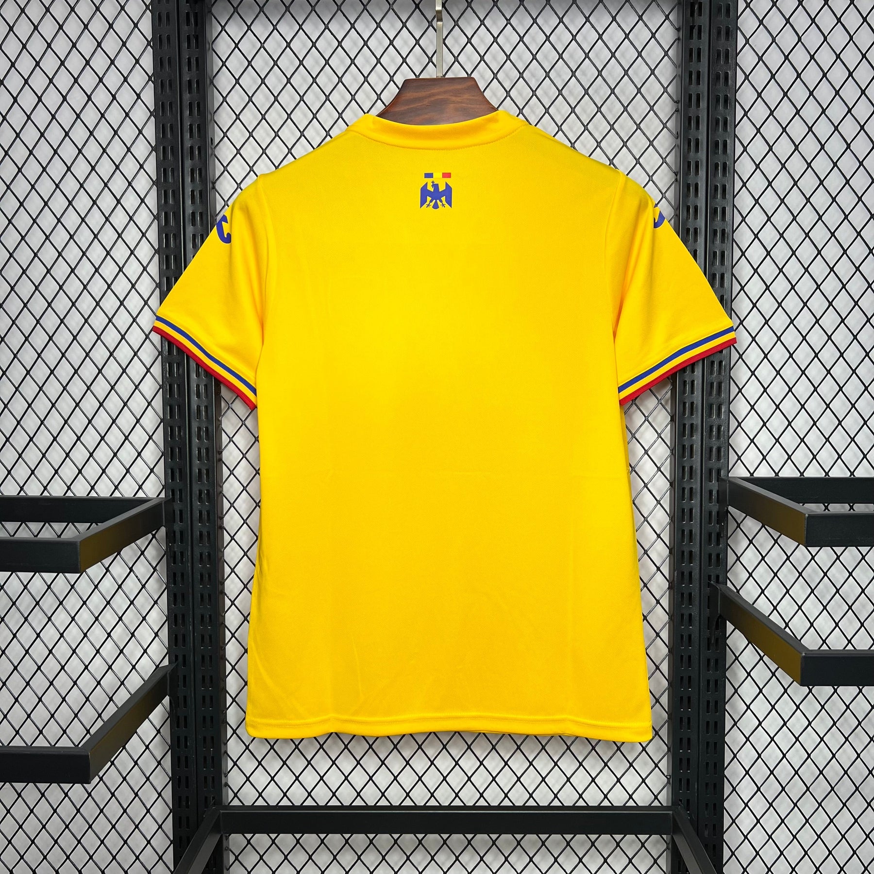 Camisa Romênia Home 24/25 - Versão (Torcedor) Masculina