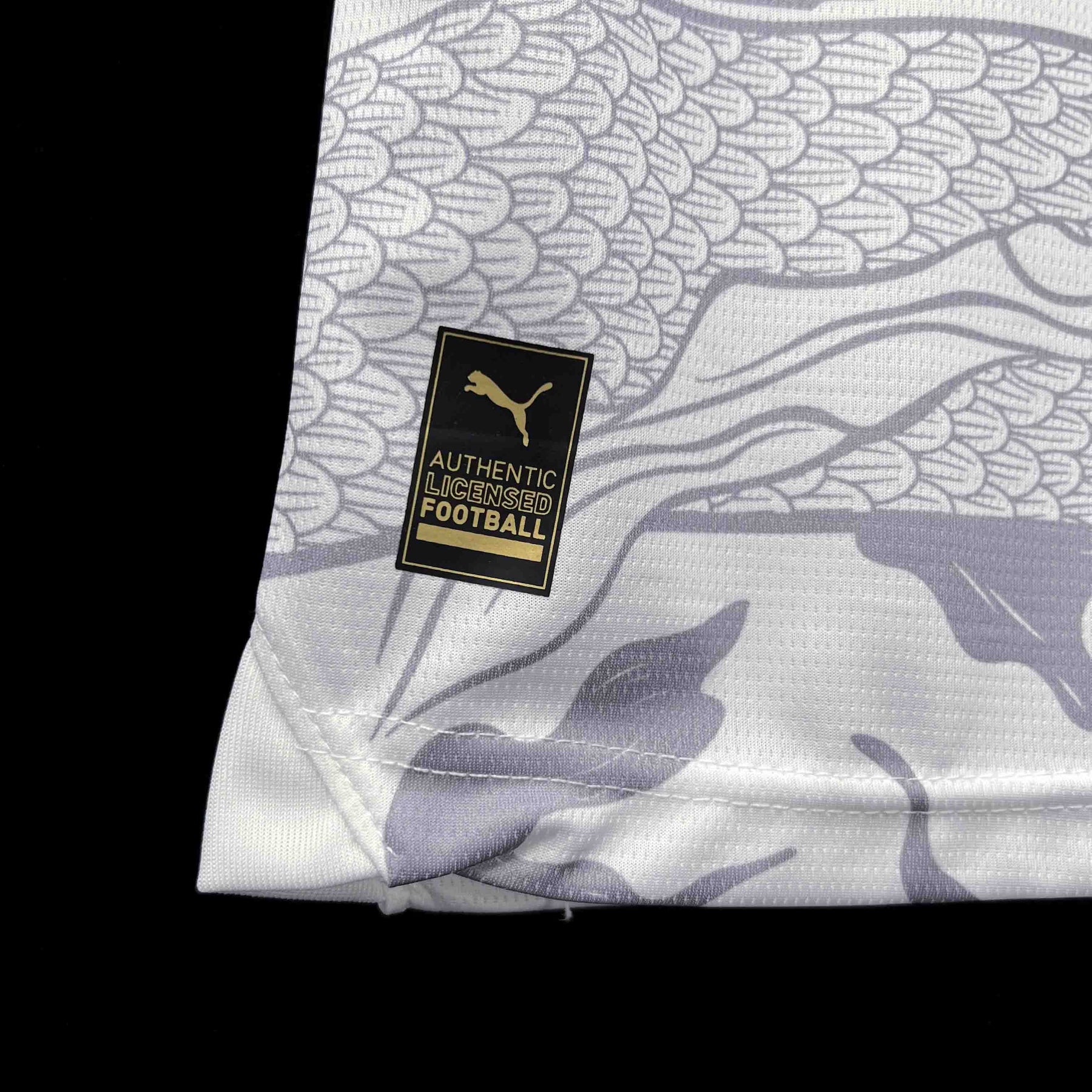 Camisa Manchester City Dragon 24/25 - Versão (Torcedor) Masculina