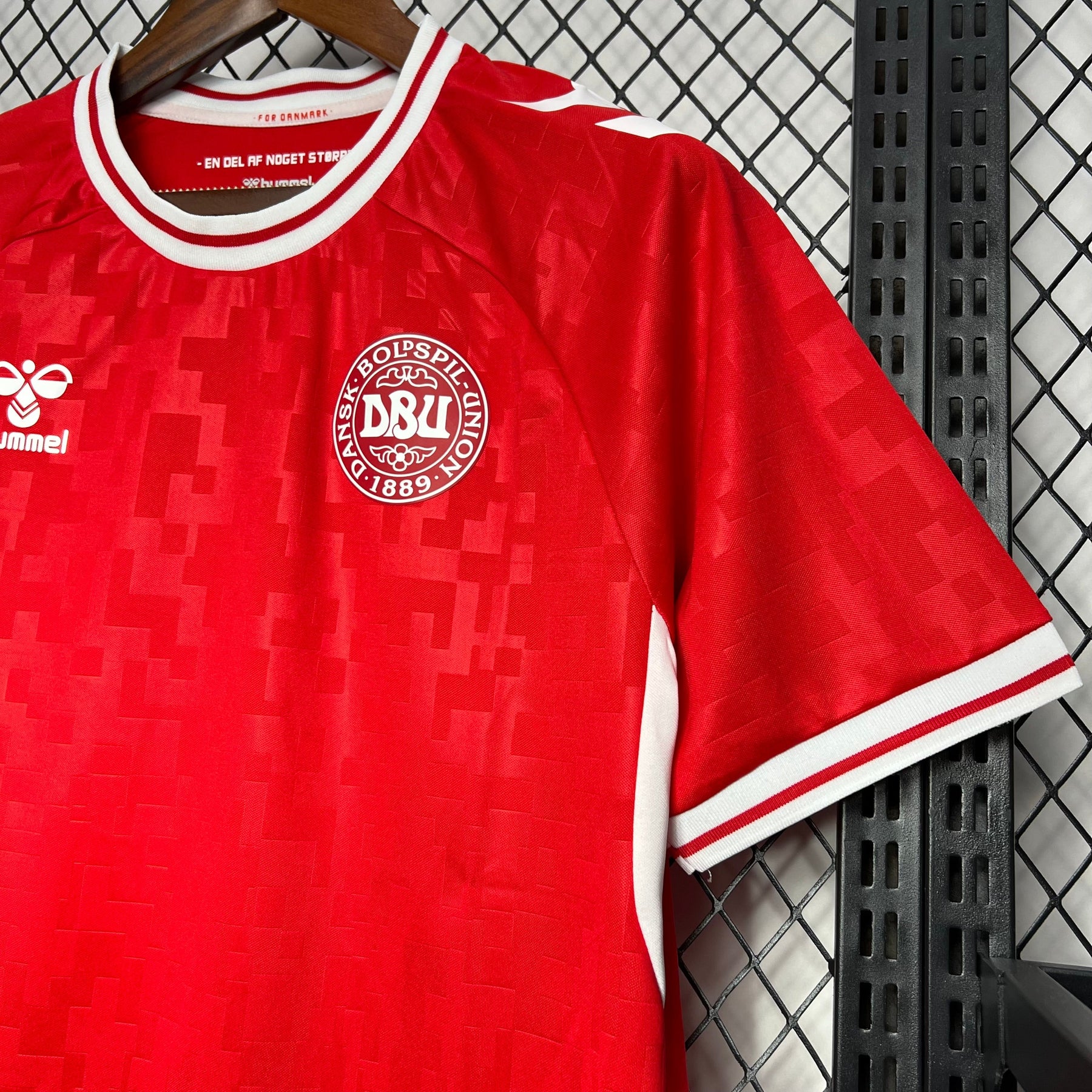 Camisa Dinamarca Home 24/25 - (Torcedor) Masculina