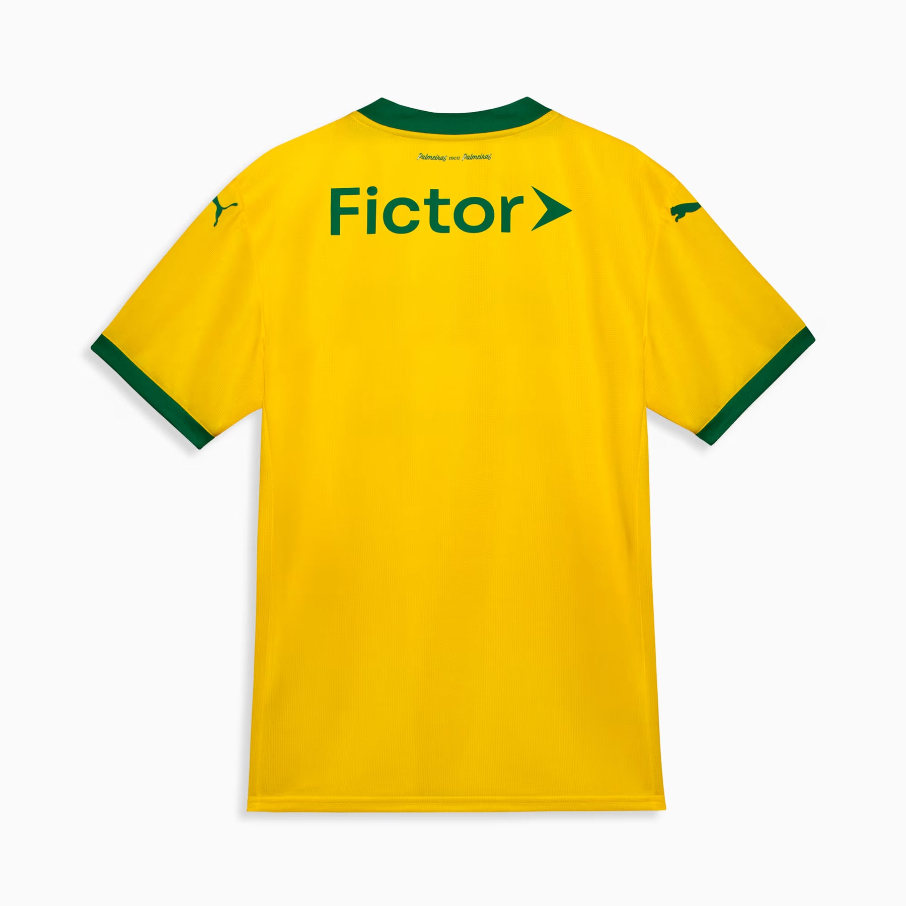 Camisa Palmeiras 2025 Third - (Torcedor)