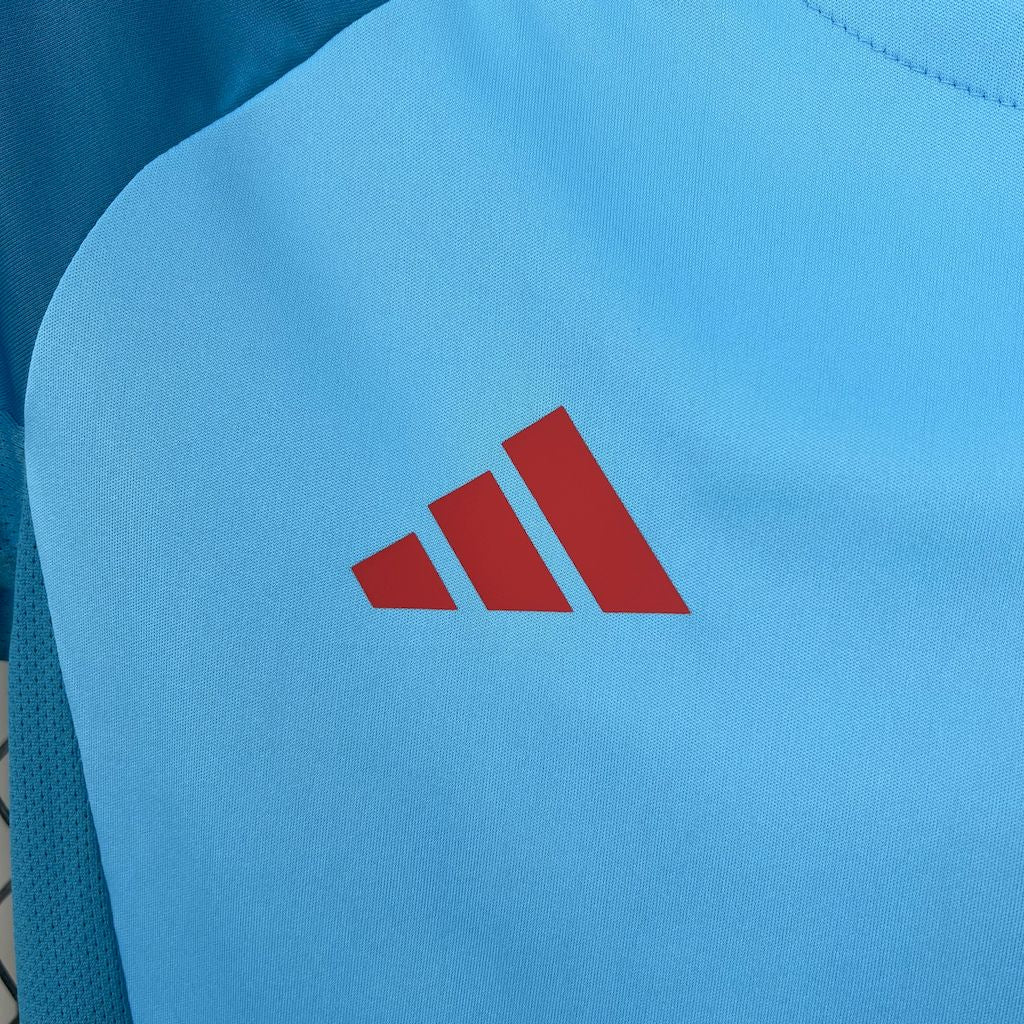 Camisa Flamengo 2025 Treino Home - (Feminina)