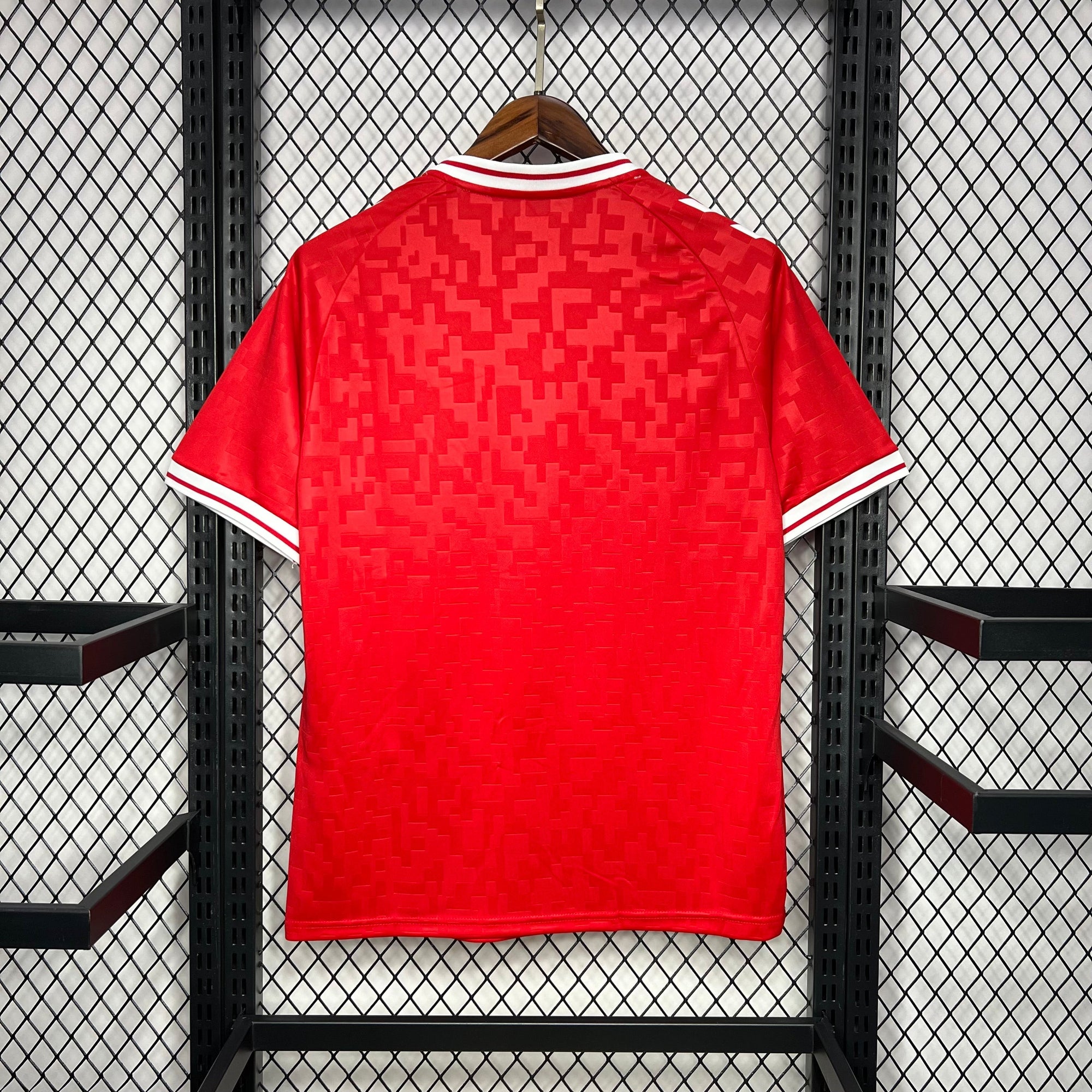 Camisa Dinamarca 2024 Home - (Torcedor)