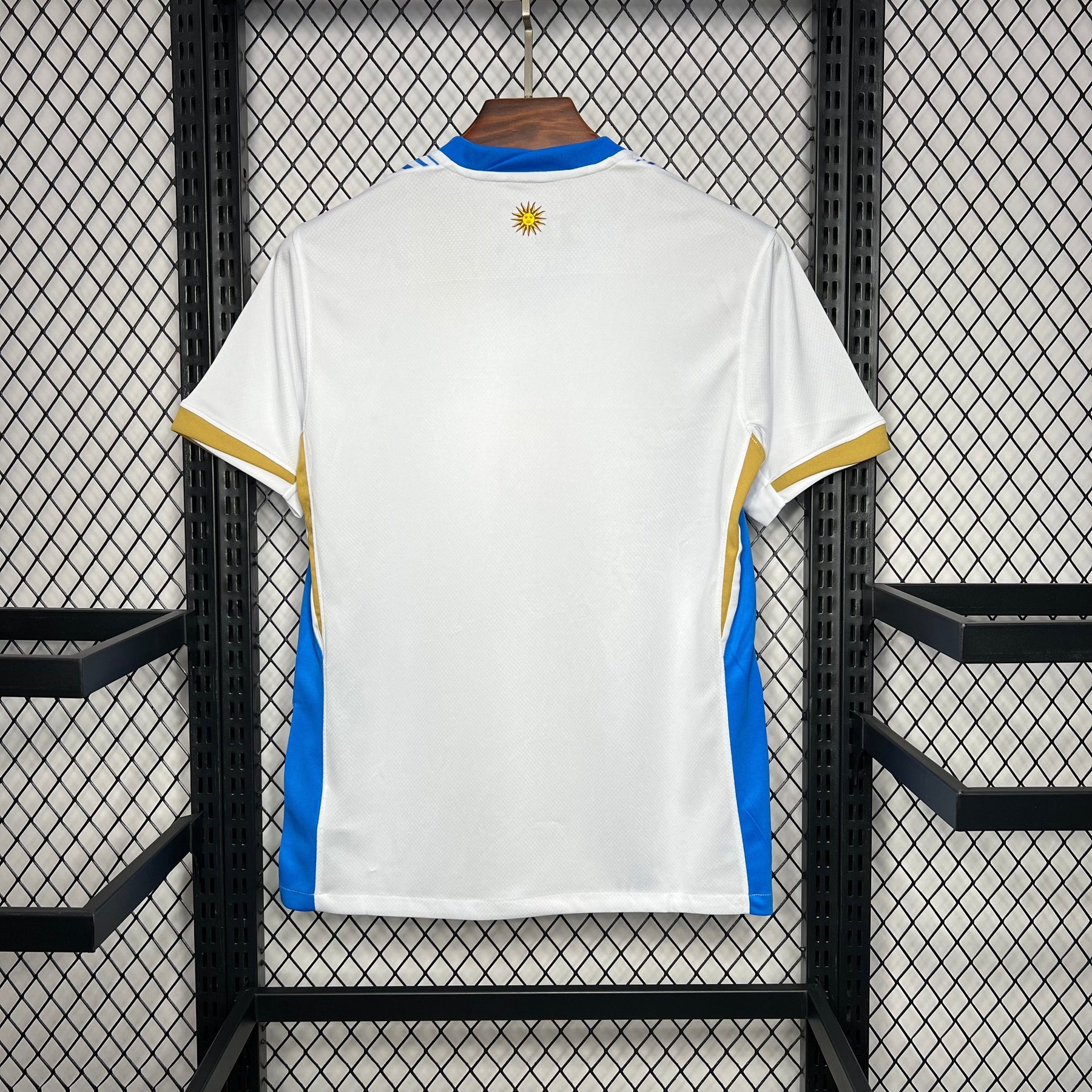 Camisa Uruguai Treino 24/25 - Versão (Torcedor) Masculina