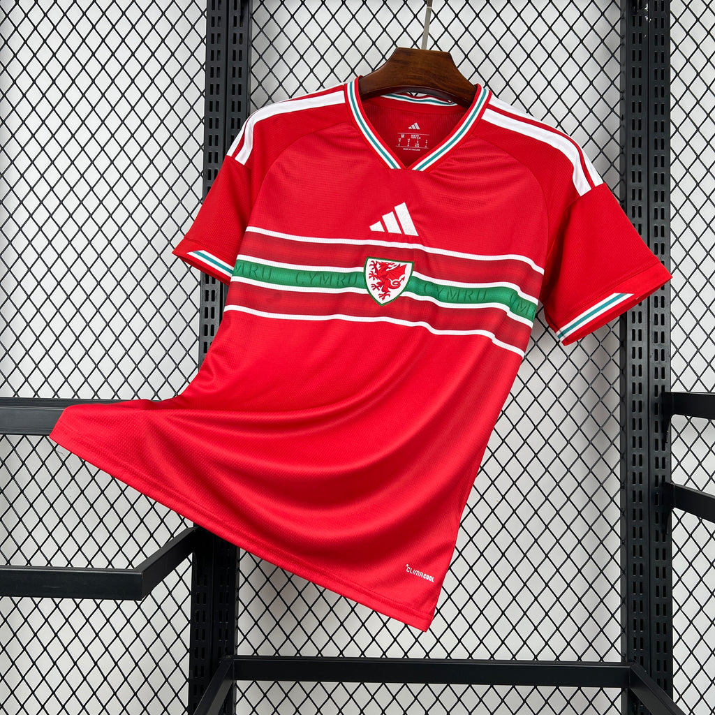 Camisa País de Gales 2026 Home - (Torcedor)