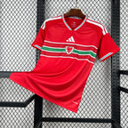 Camisa País de Gales 2026 Home - (Torcedor)