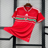 Camisa País de Gales 2026 Home - (Torcedor)