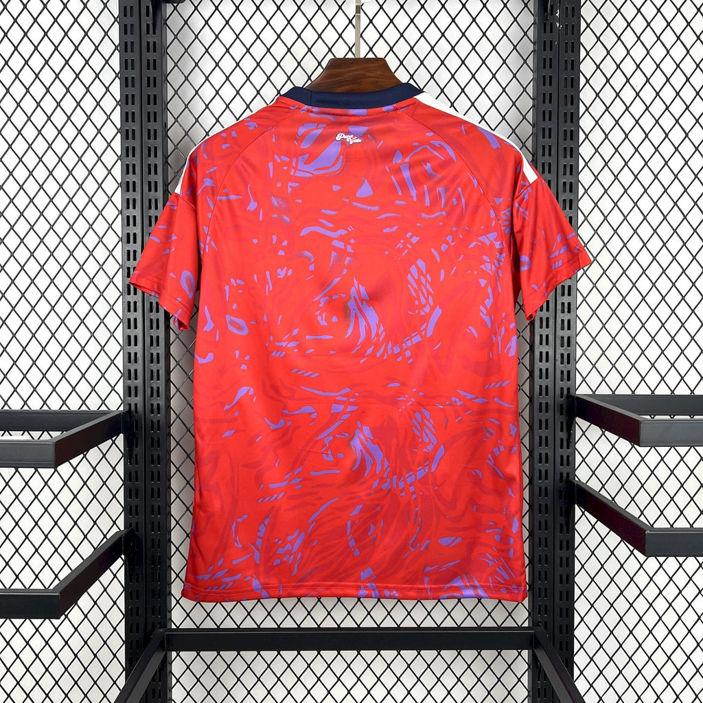 Camisa Costa Rica 2026 Home - (Torcedor)