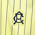 Camisa América do México 25/26 Terrace Icons - (Torcedor)