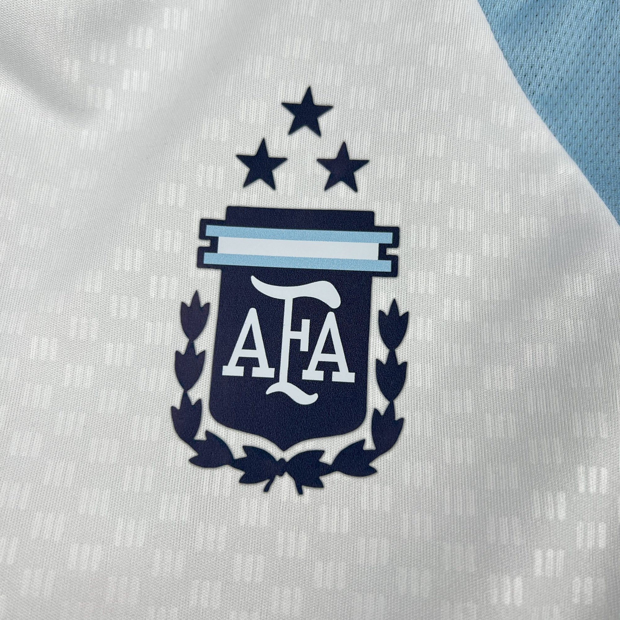 Camisa Argentina 2026 Treino Home - (Torcedor)