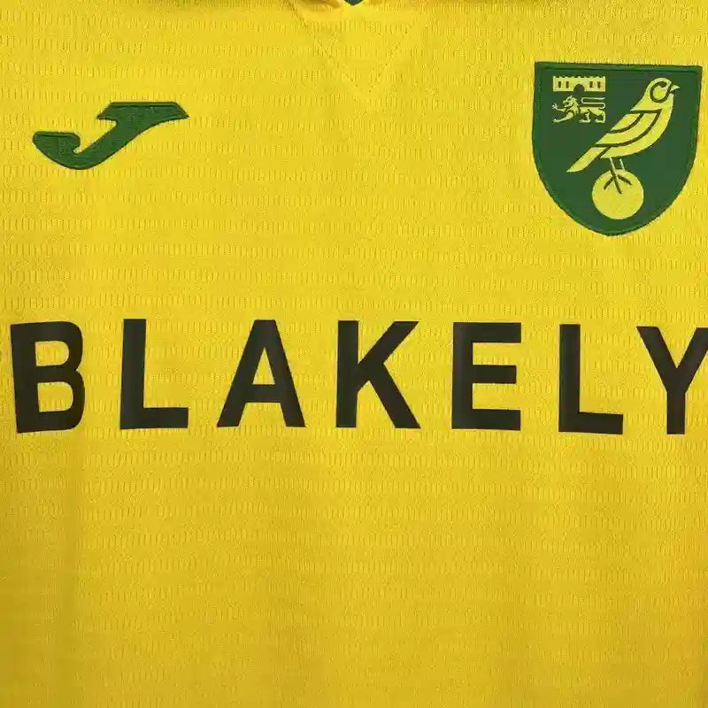 Camisa Norwich City 25/26 Home - (Torcedor)