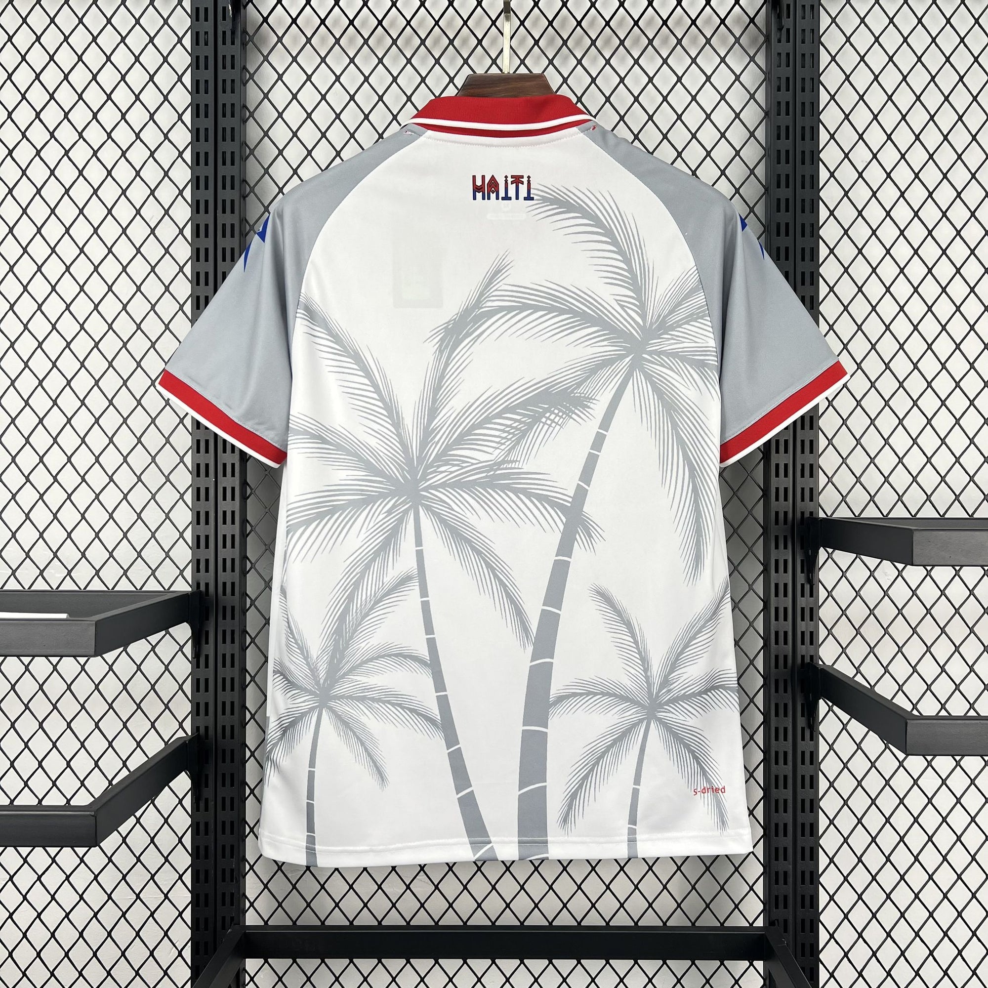 Camisa Haiti 2026 Away - (Torcedor)