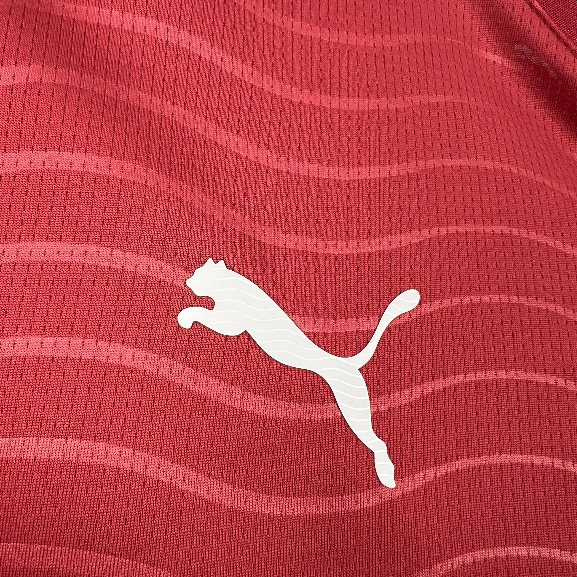 Camisa Portugal 2026 Home - (Torcedor) Manga Longa