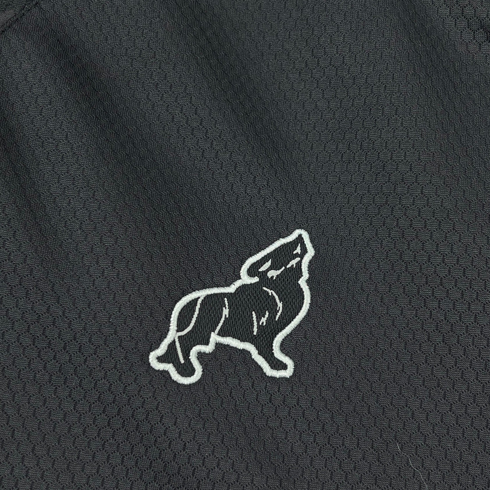 Camisa Paysandu 2025 Third - (Feminina)