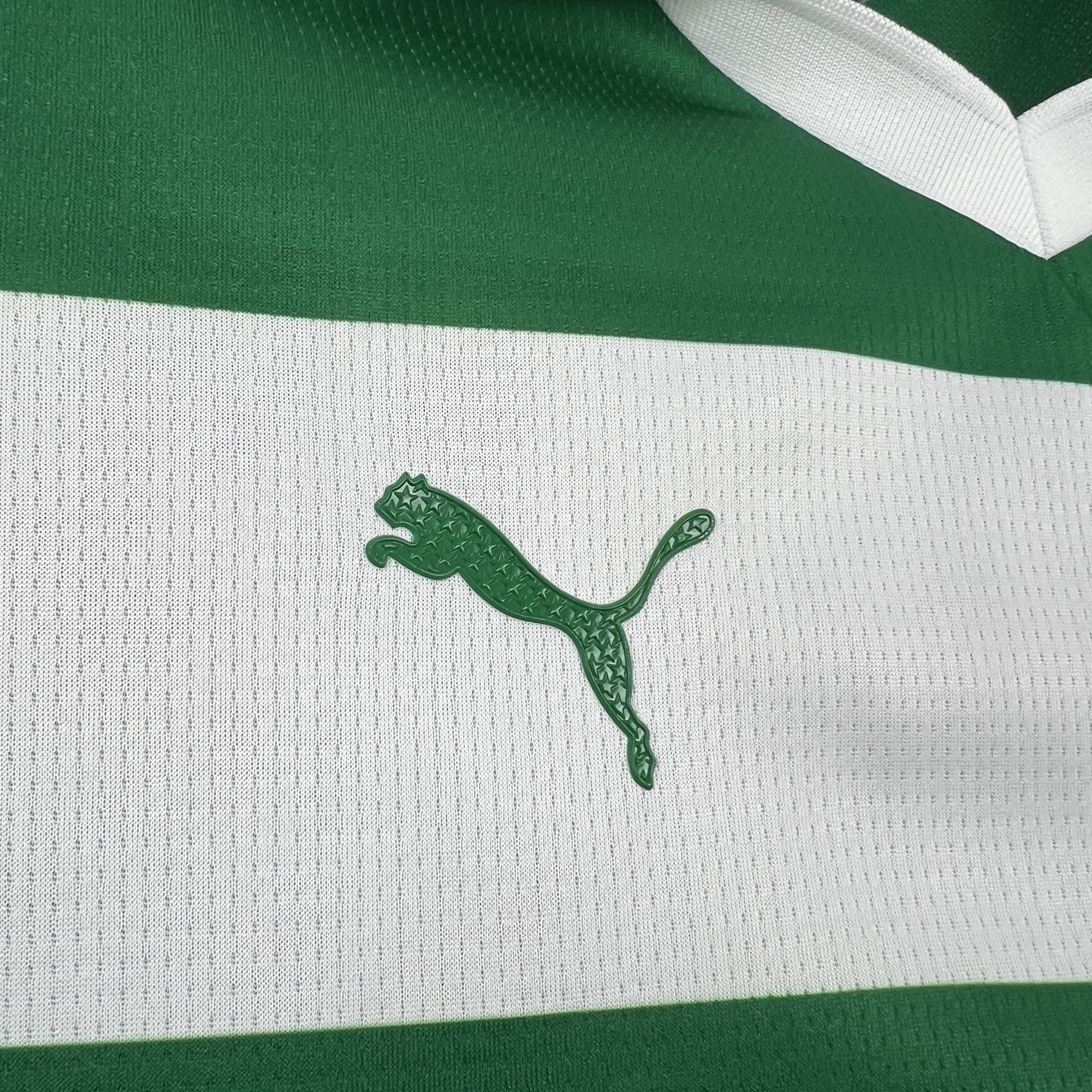 Camisa Palmeiras 2025 Avanti - (Feminina)