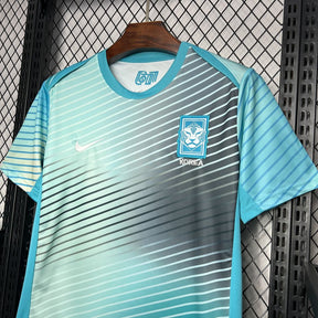 Camisa Coreia Treino 24/25 - Versão (Torcedor) Masculina