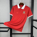 Camisa País de Gales 2026 Aniversário 150 anos - (Torcedor)