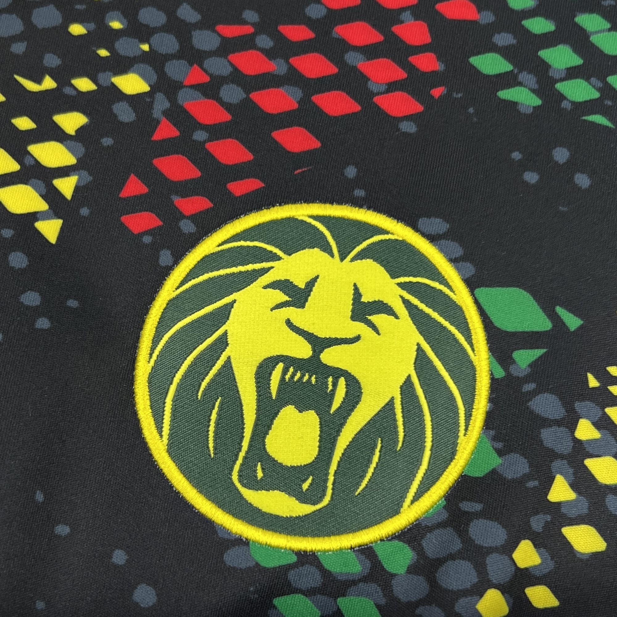 Camisa Camarões 25/26 Edição Especial - (Torcedor)