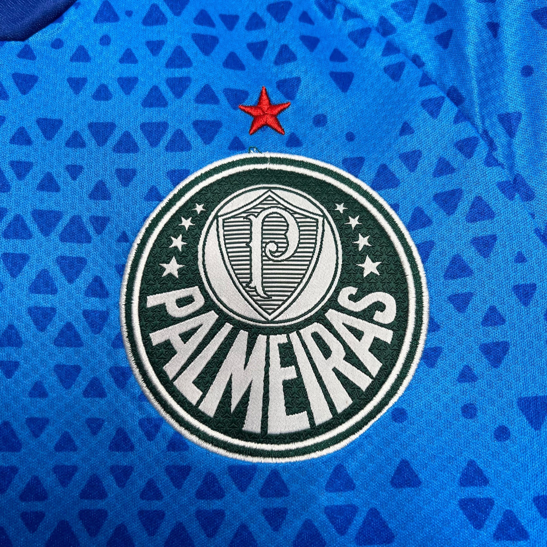 Camisa Palmeiras 2024 Treino Away - (Torcedor)