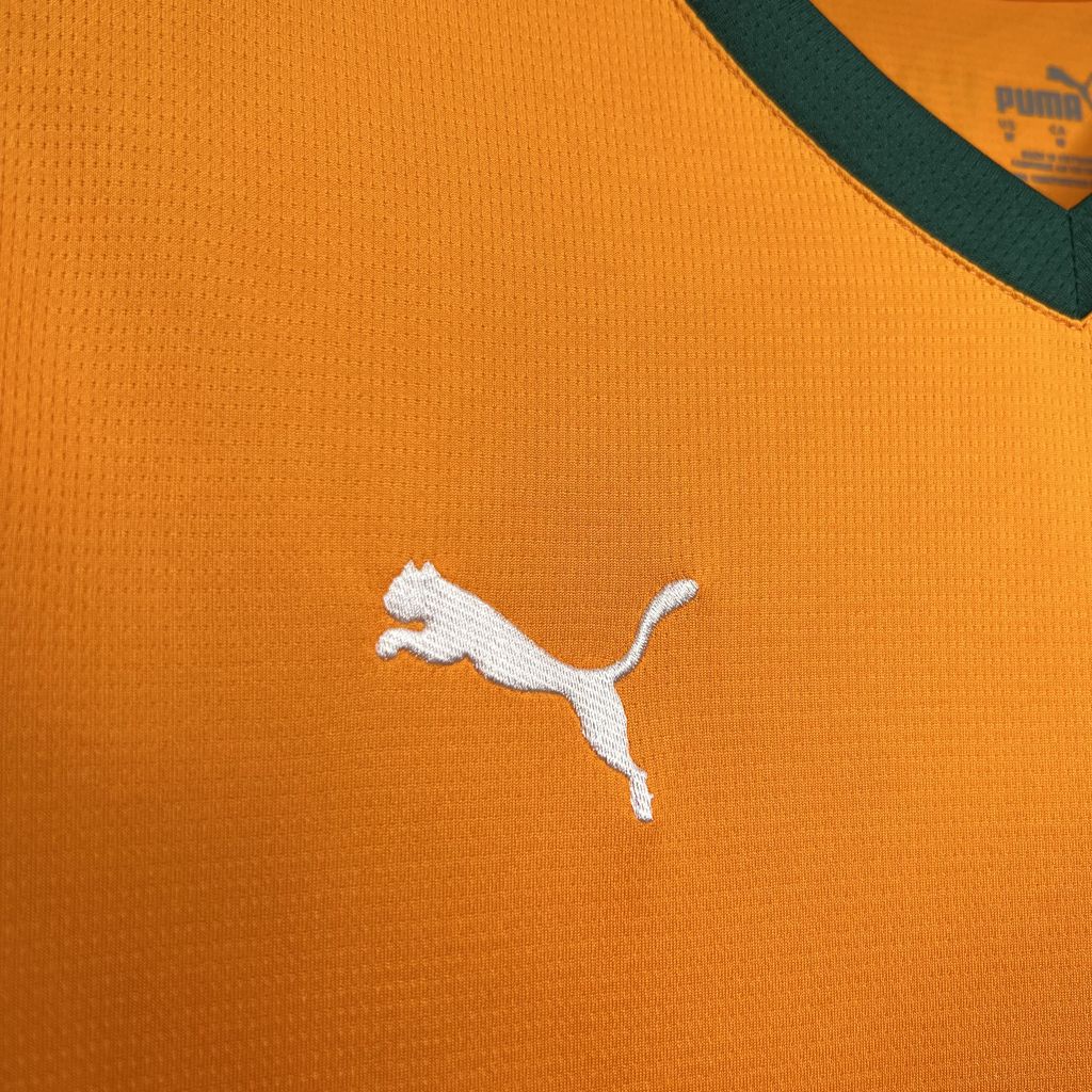Camisa Valencia lll 24/25 - Versão (Torcedor) Masculina