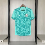 Camisa Palmeiras 2026 Treino - (Torcedor)