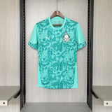 Camisa Palmeiras 2026 Treino - (Torcedor)
