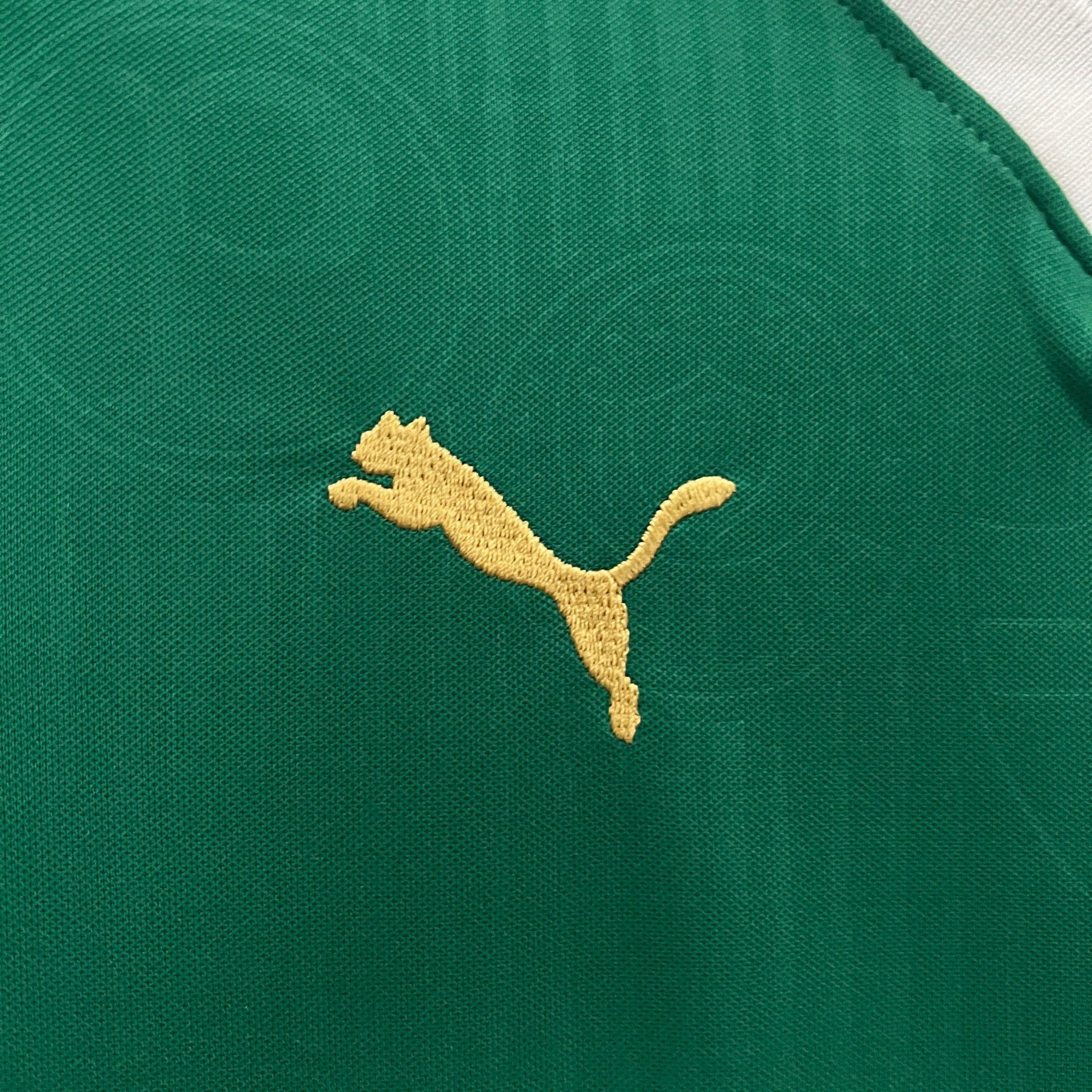 Camisa Palmeiras 2024 - (Feminina)