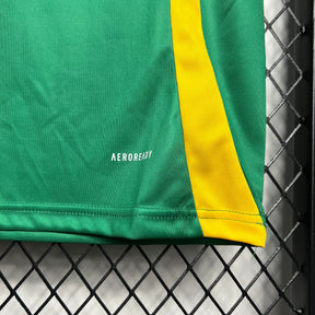 Camisa Jamaica Treino 24/25 - Versão (Torcedor) Masculina