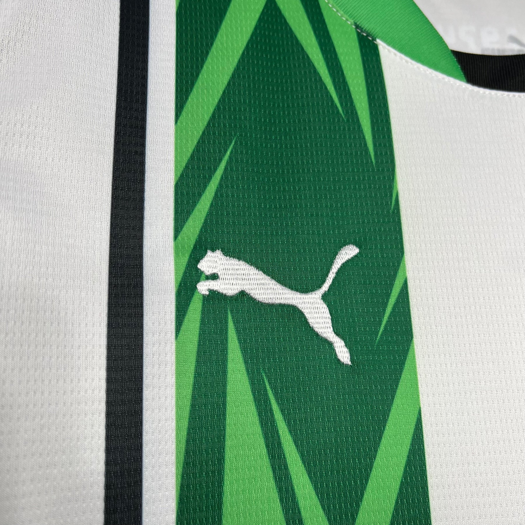 Camisa Borussia Monchengladbach Home 24/25 - Puma (Torcedor) Masculina