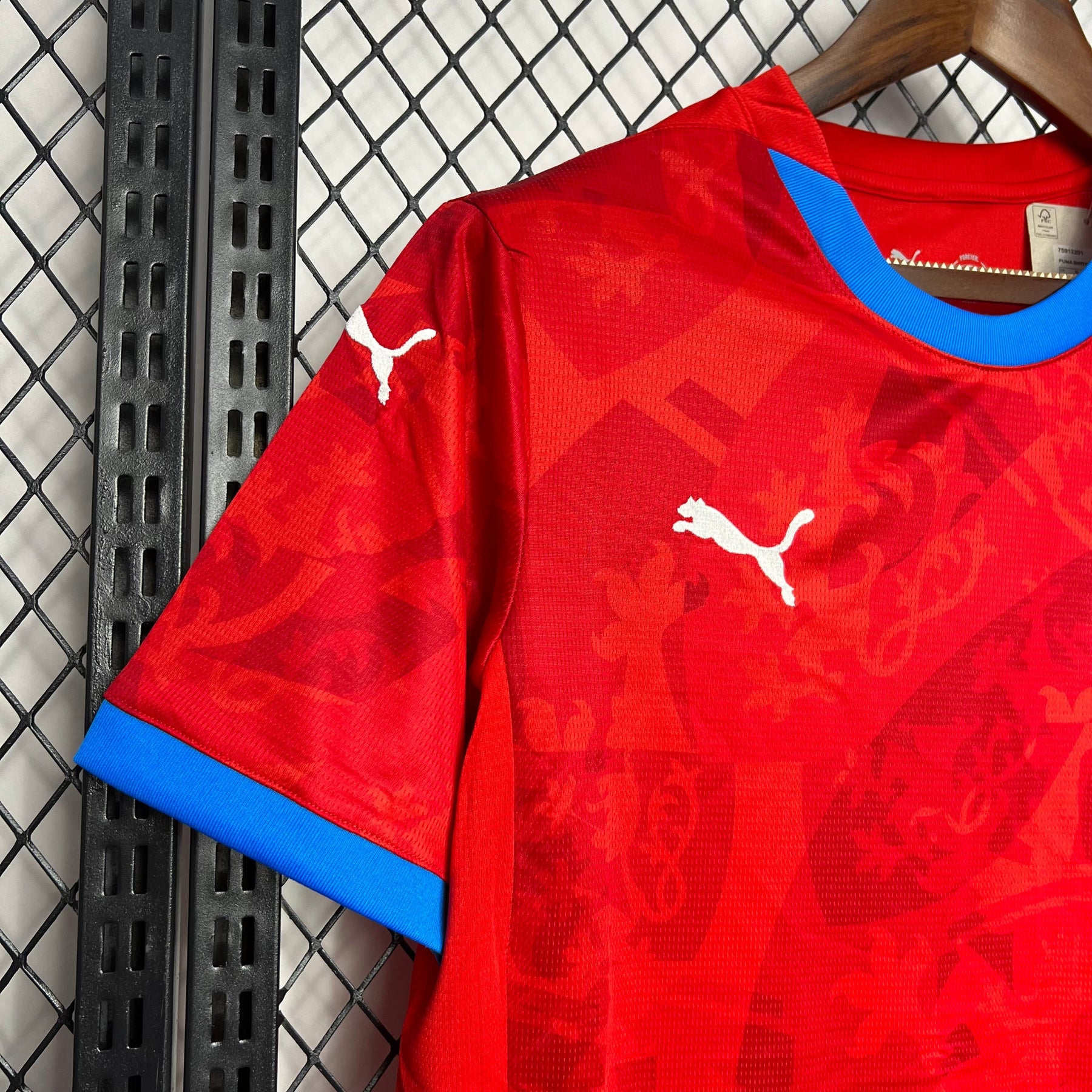 Camisa República Tcheca Home 24/25 - Versão (Torcedor) Masculina