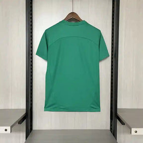 Camisa Bahia 2025 Treino Goleiro - (Torcedor)