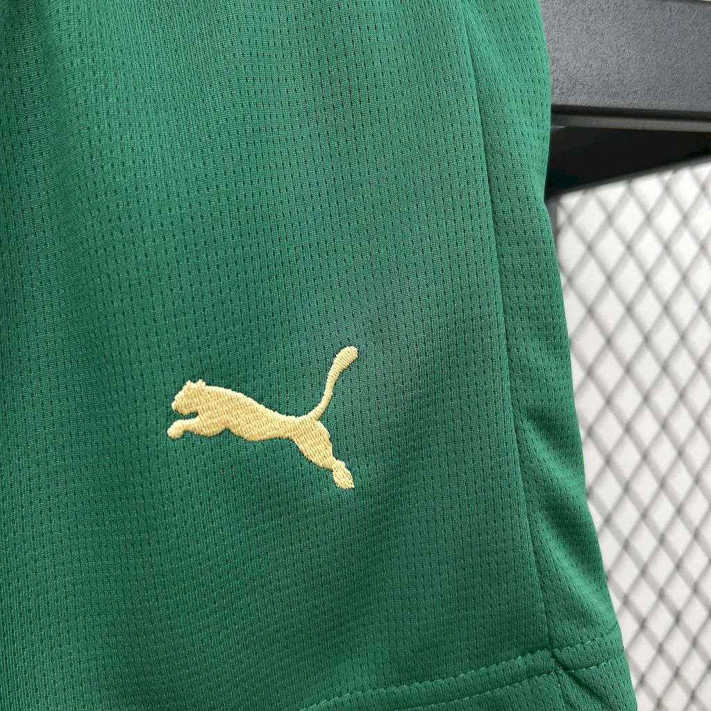 Kit Infantil Palmeiras 2024 Third