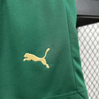 Kit Infantil Palmeiras 2024 Third