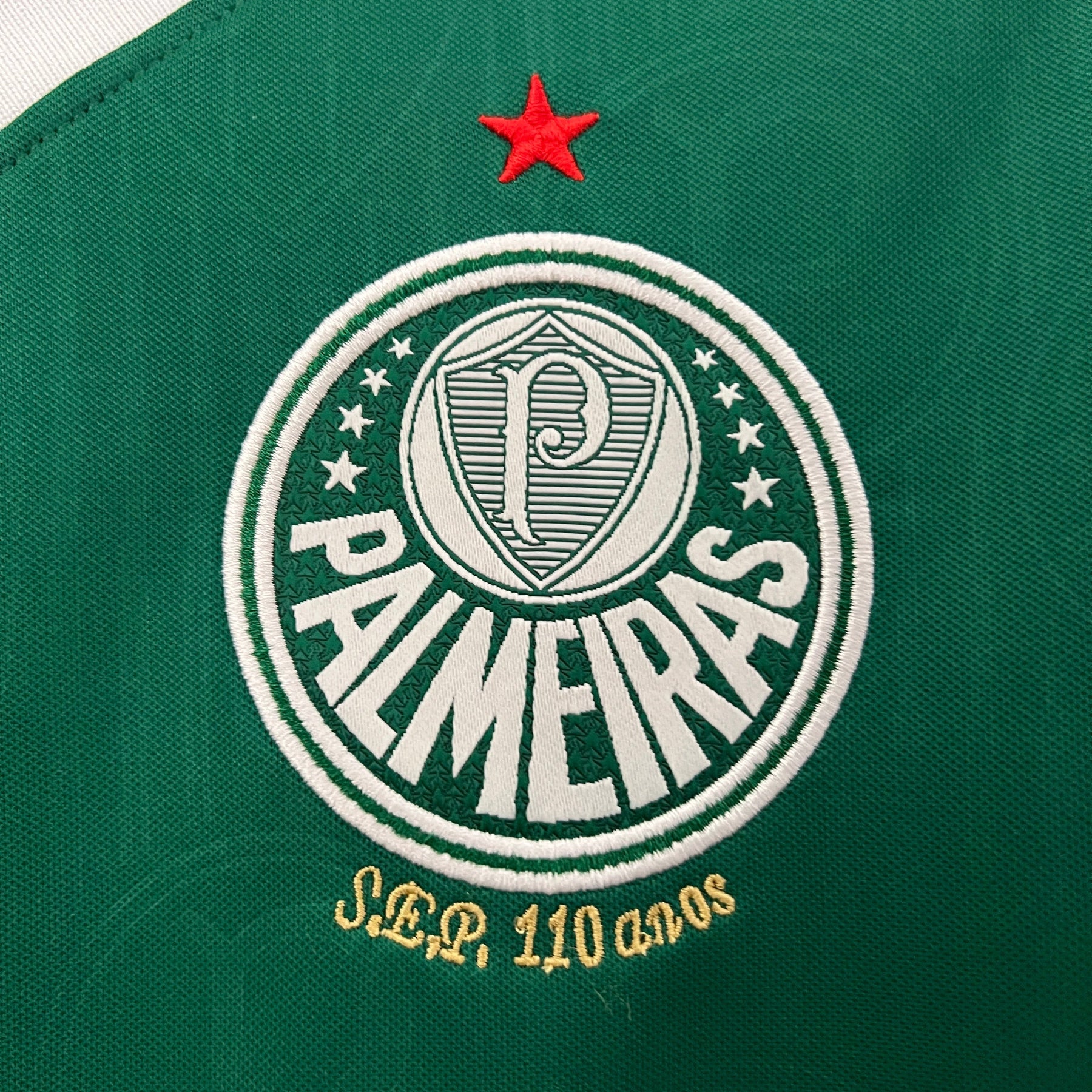 Camisa Palmeiras 2024 - (Feminina)