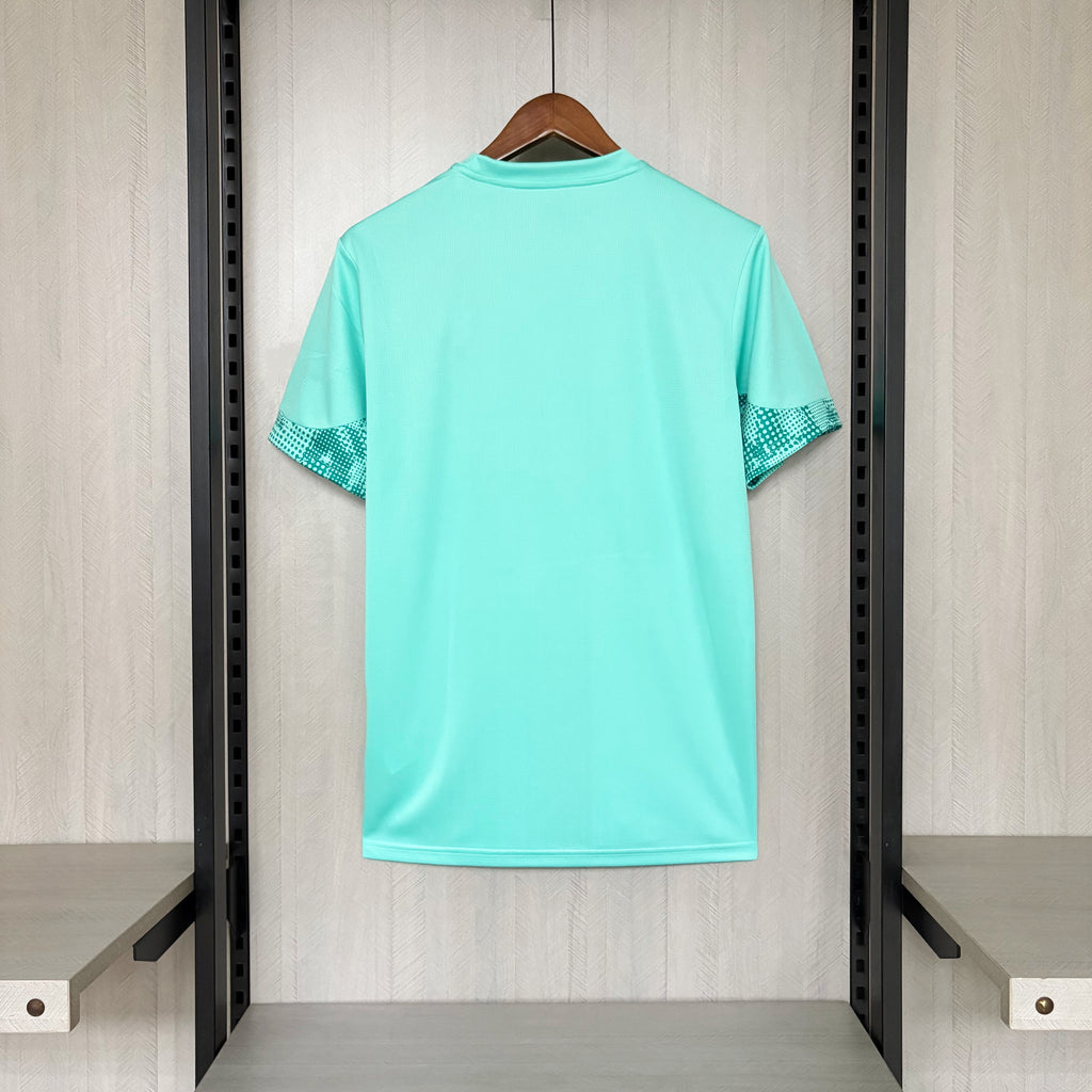 Camisa Palmeiras 2026 Treino - (Torcedor)