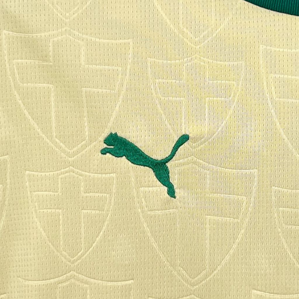 Kit Infantil Palmeiras 2024 Third