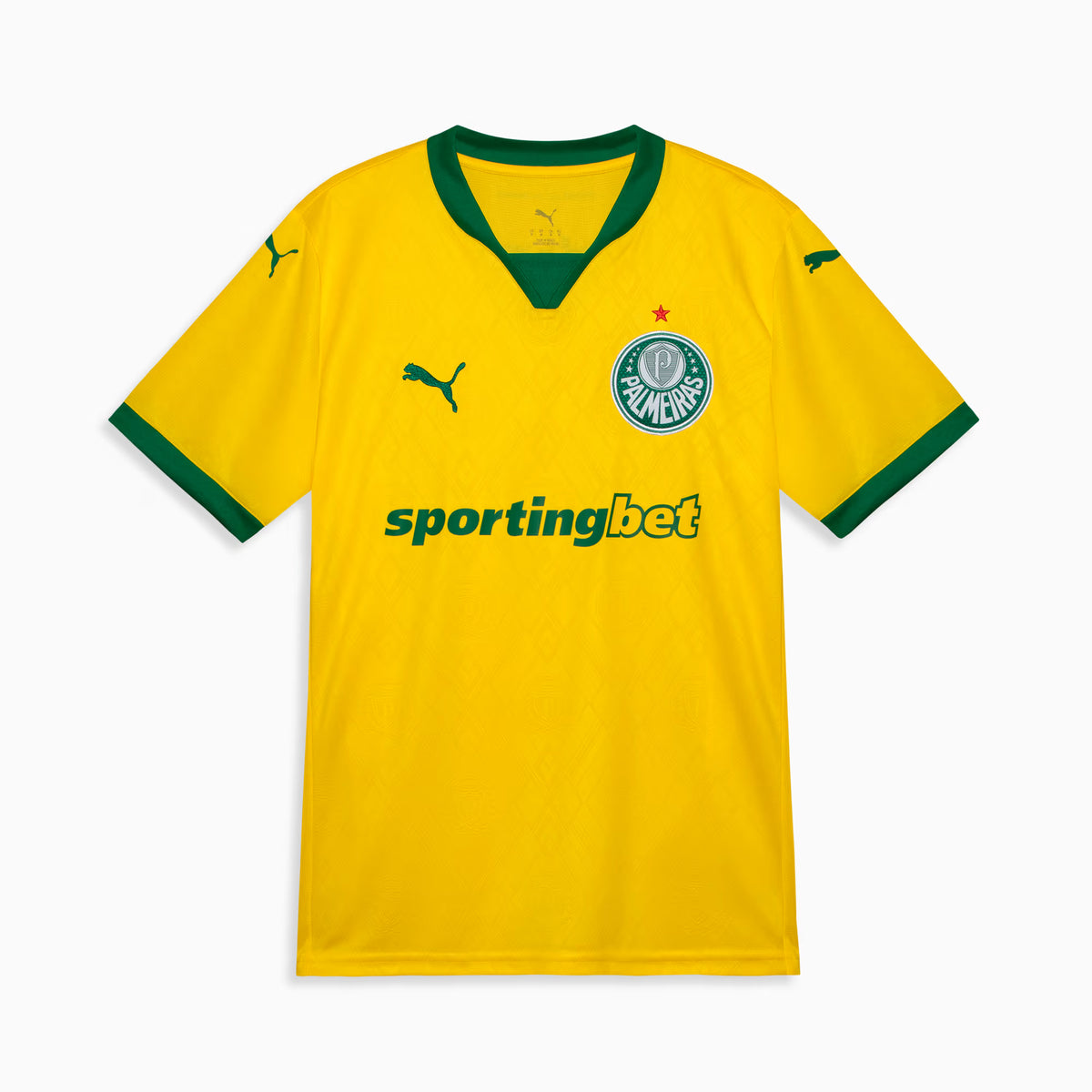 Camisa Palmeiras 2025 Third - (Torcedor)