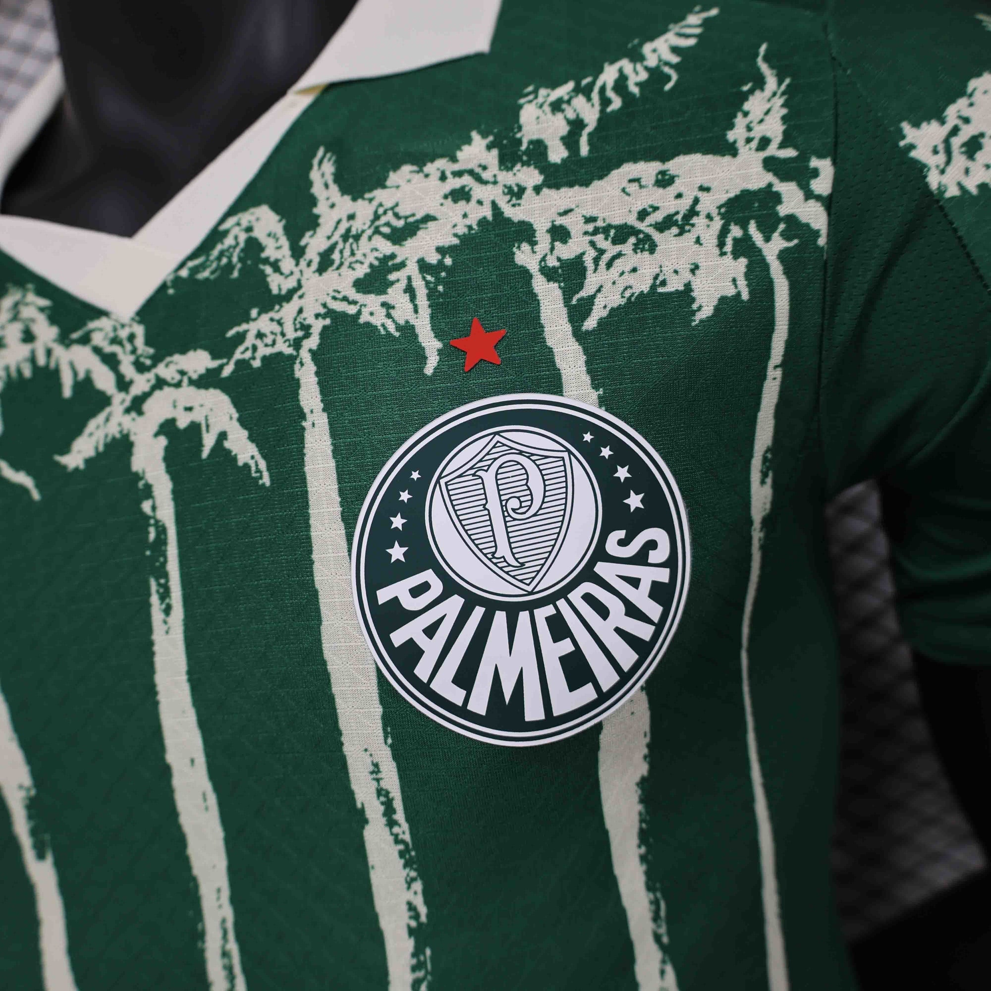 Camisa Palmeiras 2025 Edição Conceito Home - (Jogador)