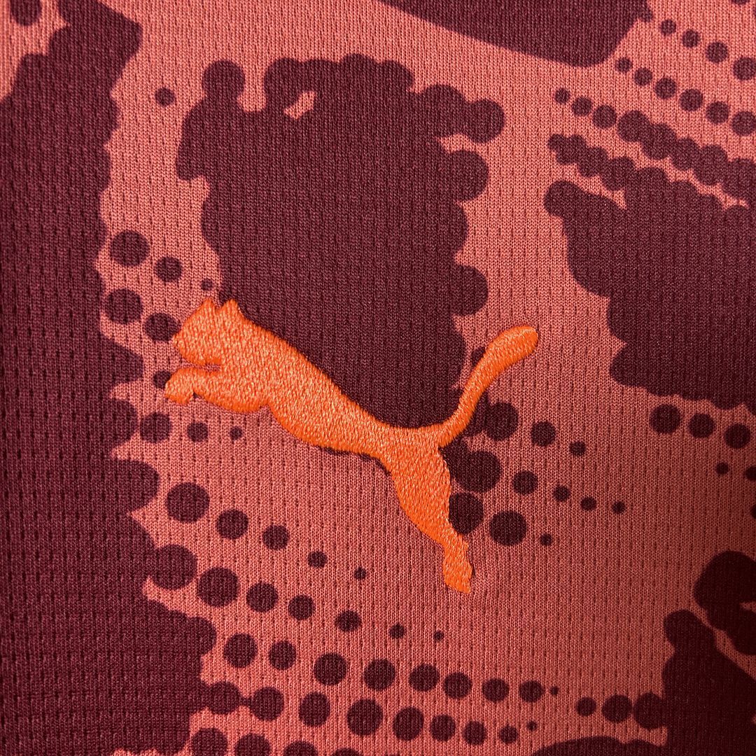 Camisa Palmeiras 2025 Goleiro Third - (Torcedor)