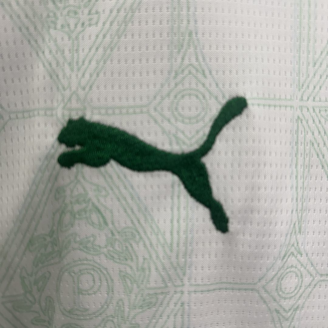 Kit Infantil Palmeiras 2025 Away