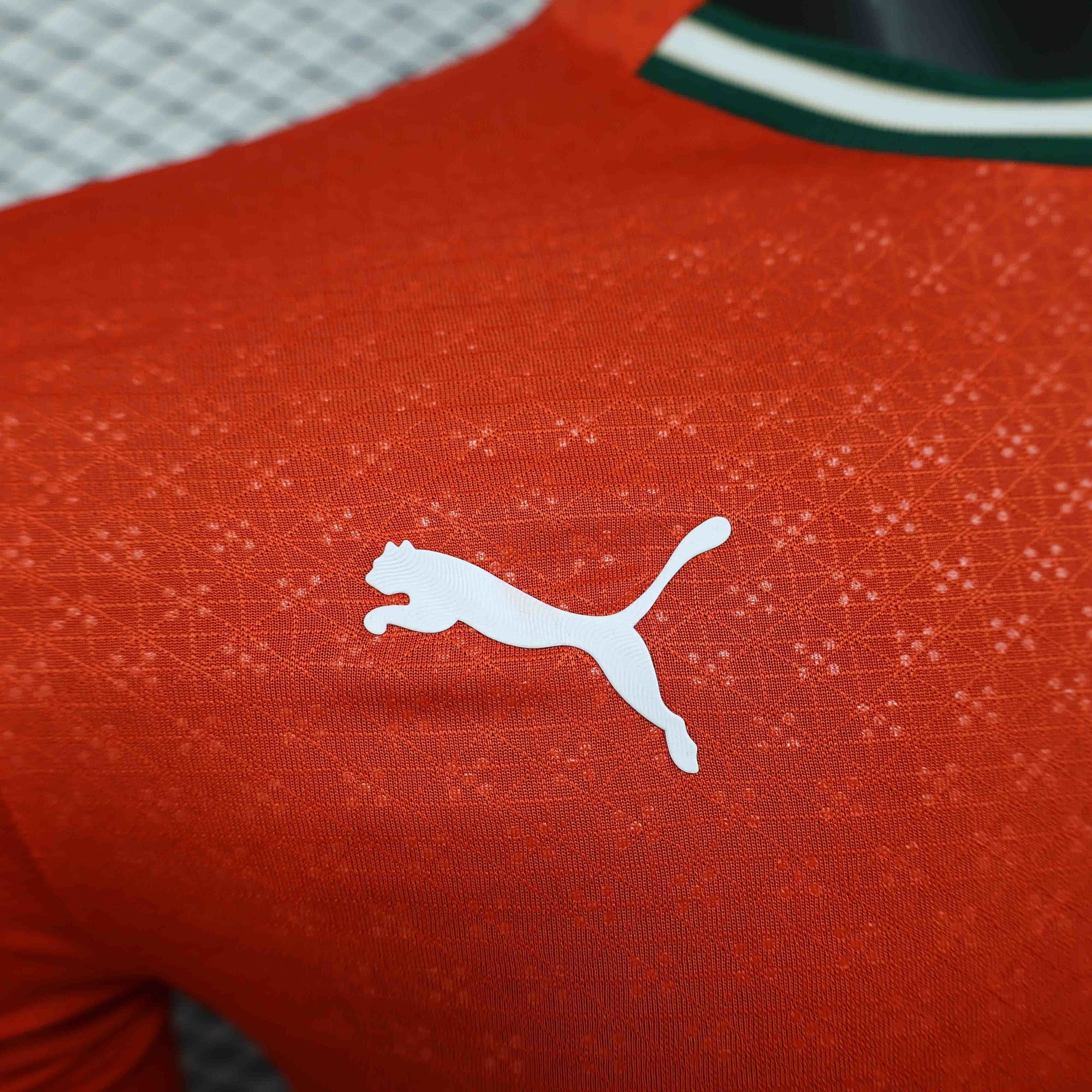 Camisa Portugal 2025 Home - (Jogador) Manga Longa