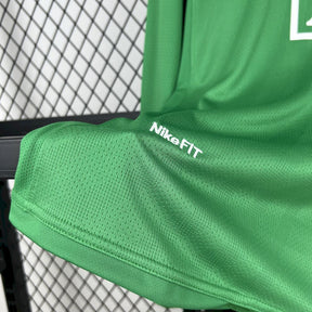 Camisa Manchester United Goleiro-Verde 07/08 - Versão (Retrô) Manga Comprida