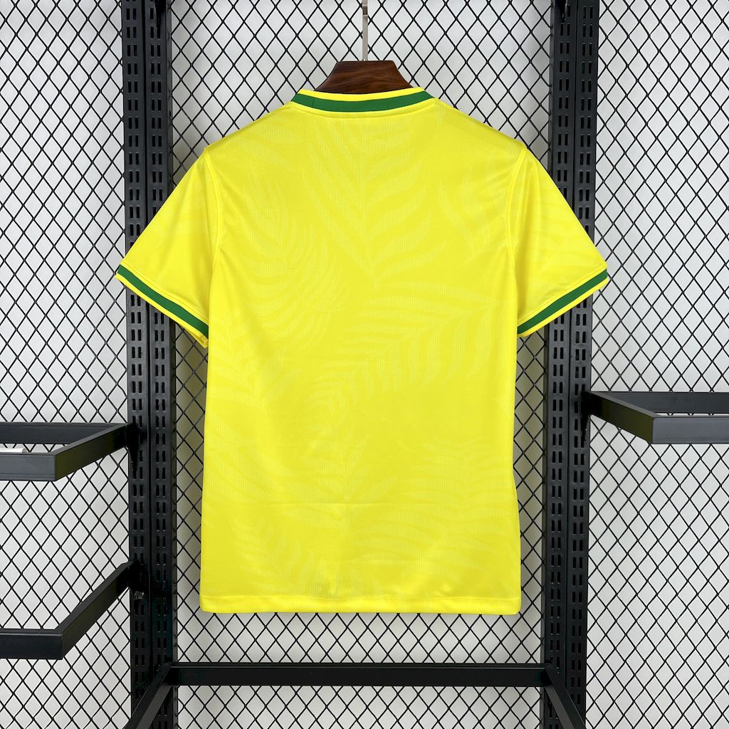Camisa Brasil 2025 Edição Especial  - (Torcedor)