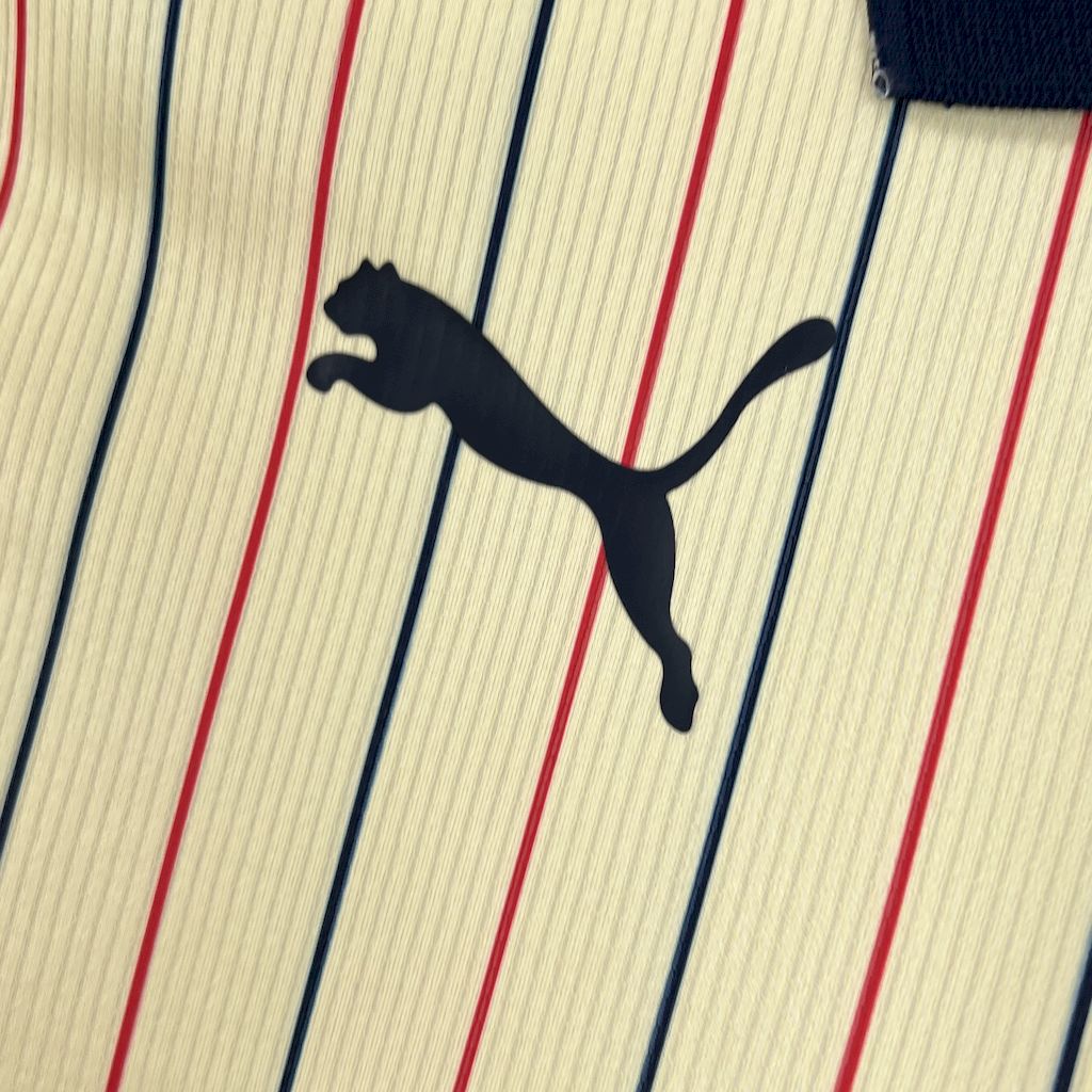 Camisa Cerro Porteño Away 25/26 - (Torcedor) Masculina