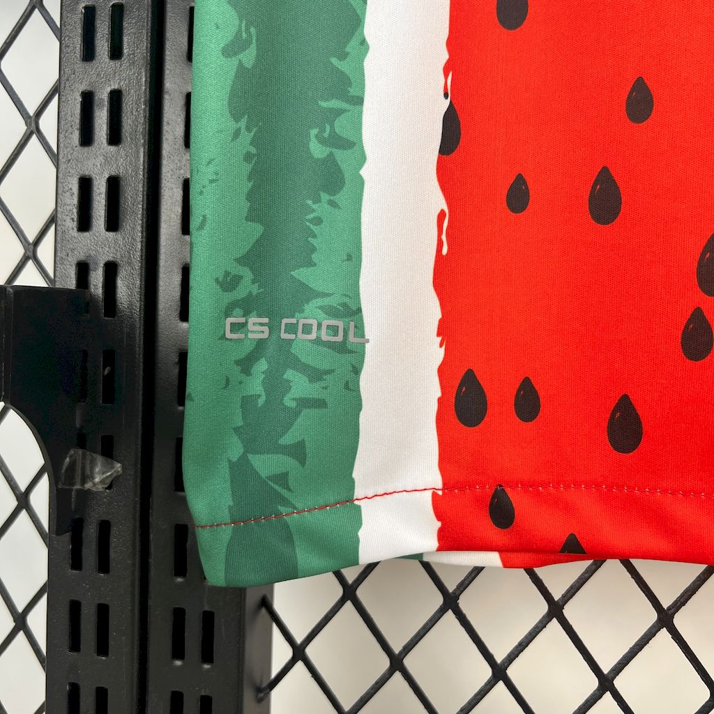 Camisa Palestino Fourth Away 25/26 - (Torcedor) Masculina