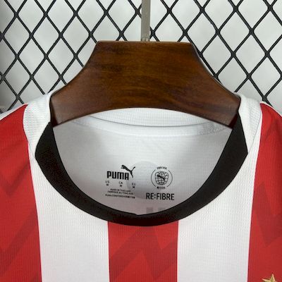 Camisa Psv Eindhoven Home 25/26 - Versão (Torcedor) Masculina