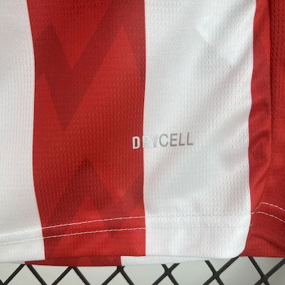 Camisa Psv Eindhoven Home 25/26 - Versão (Torcedor) Masculina